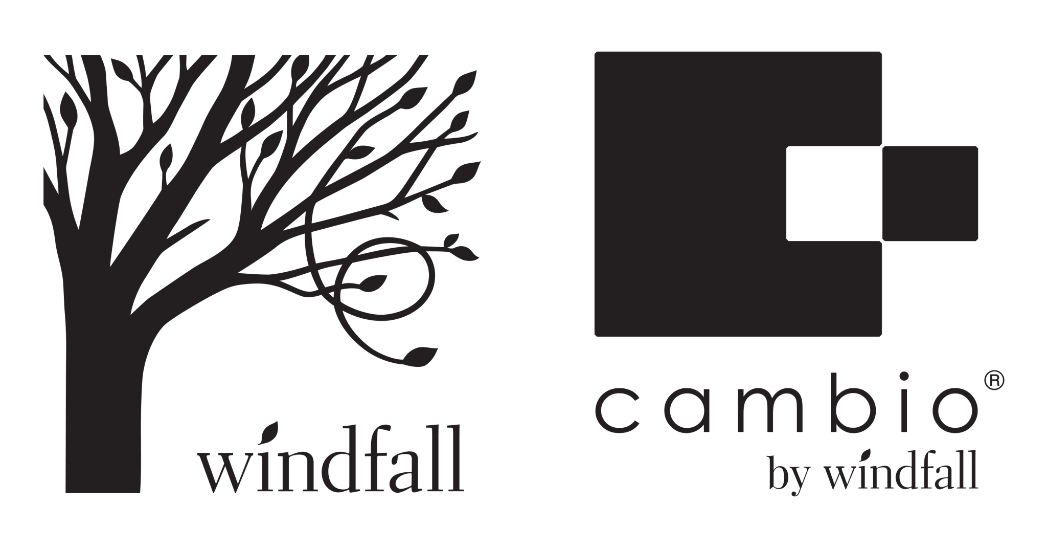 Windfall + Cambio white bg