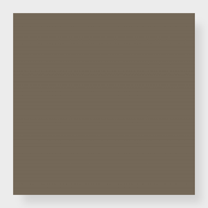 Color Block - Brainstorm Bronze