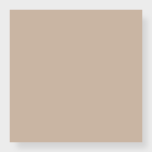 Color Block - Familiar Beige