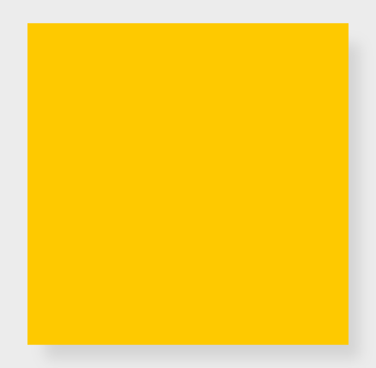 Forsythia