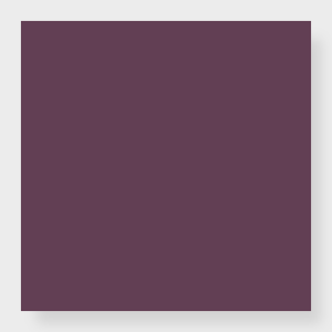 Color Block - Mature Grape