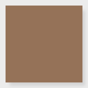 Color Block - Toasty
