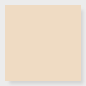 Color Block - Warm Beige