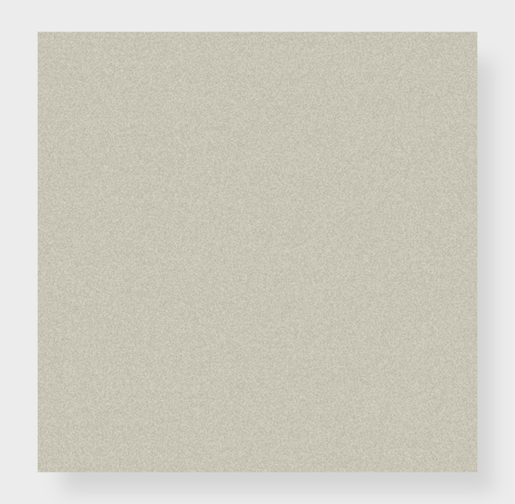 Oyster Shell