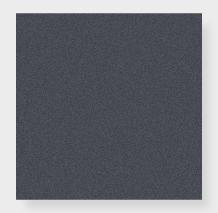 Poppy Seed