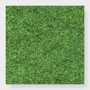 Acoustic Felt - Peridot