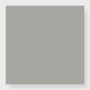 Color Block - Gray Matters