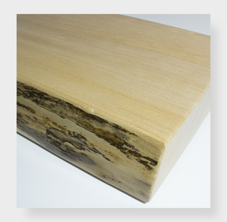 Western Maple Live Edge Clear