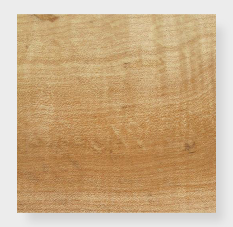 Western Maple Plank Clear